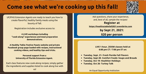 FB Early-bird A Healthy Table Festive Feasts Flyer_blog_info FB Early-bird A Healthy Table Festive Feasts Flyer_blog_info