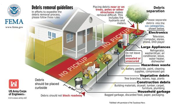 storm debris