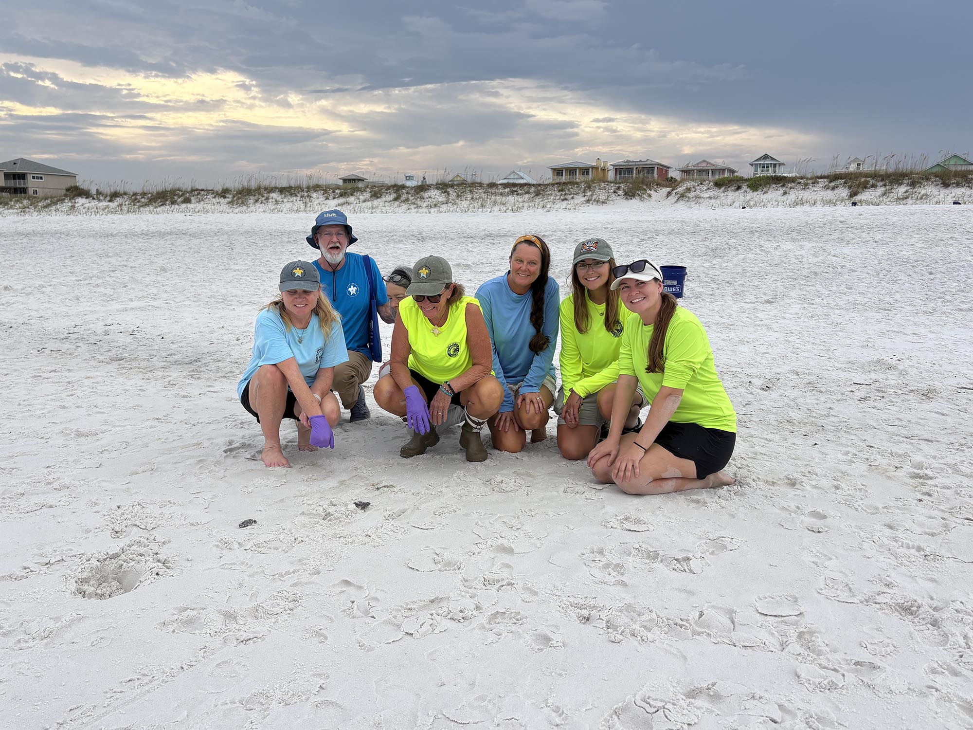 First Sea Turtle Nest First Sea Turtle Nest