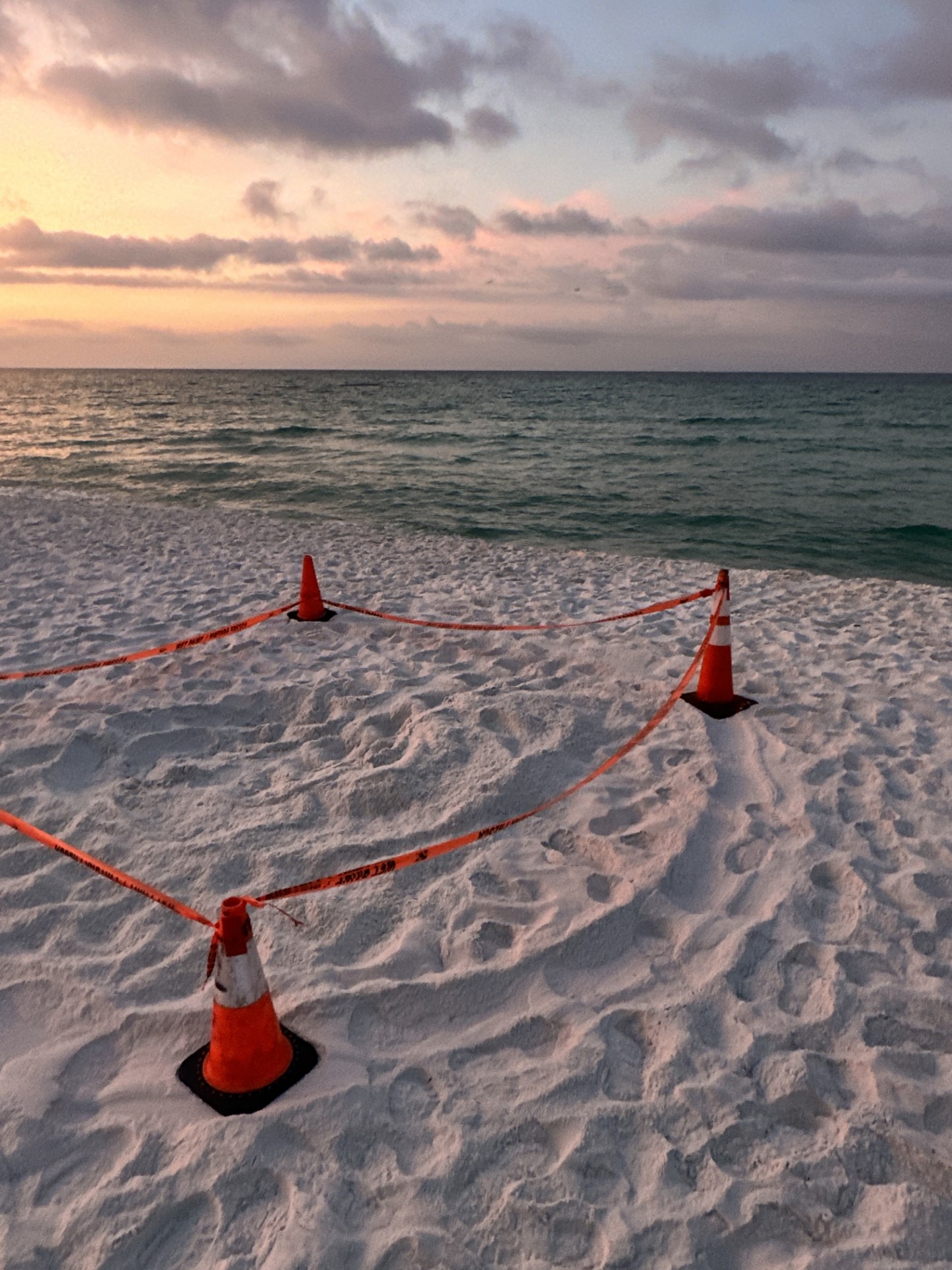 Picture marking the first sea turtle nest on Pensacola Beach, Florida during the 2023 sea turtle nesting season