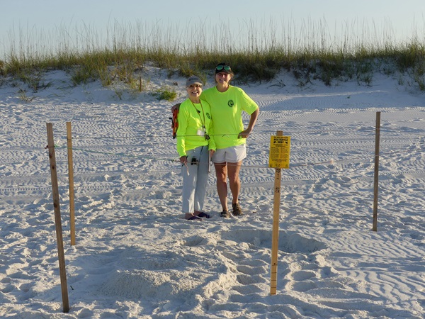 First Turtle Nest 2022 First Turtle Nest 2022