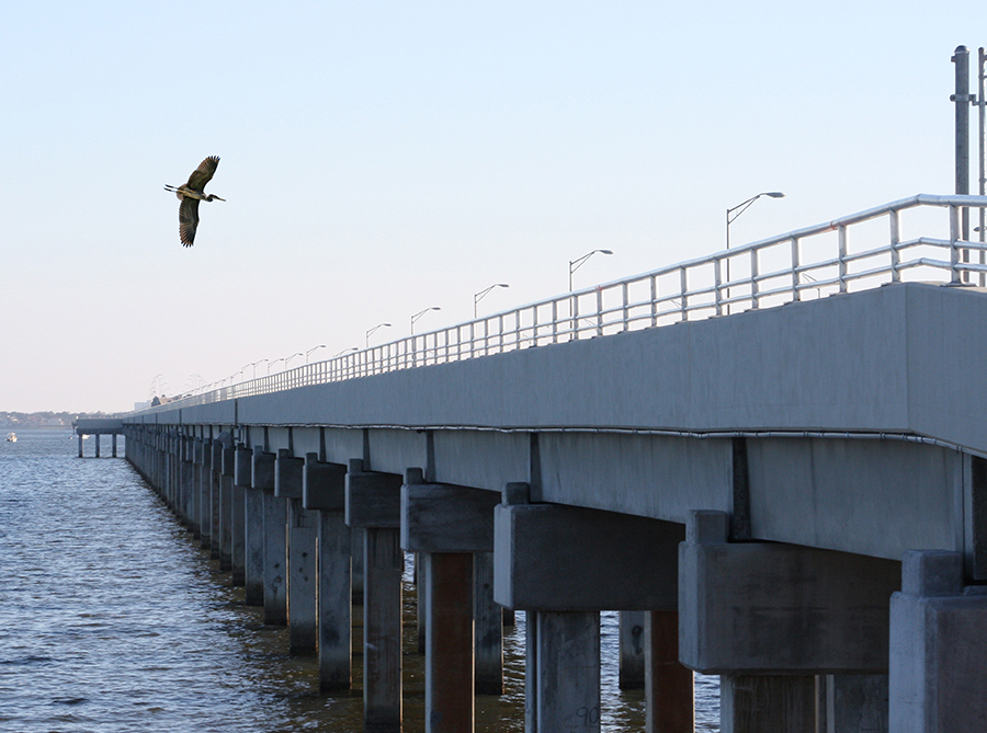 Pensacola Bay Fishing Bridge