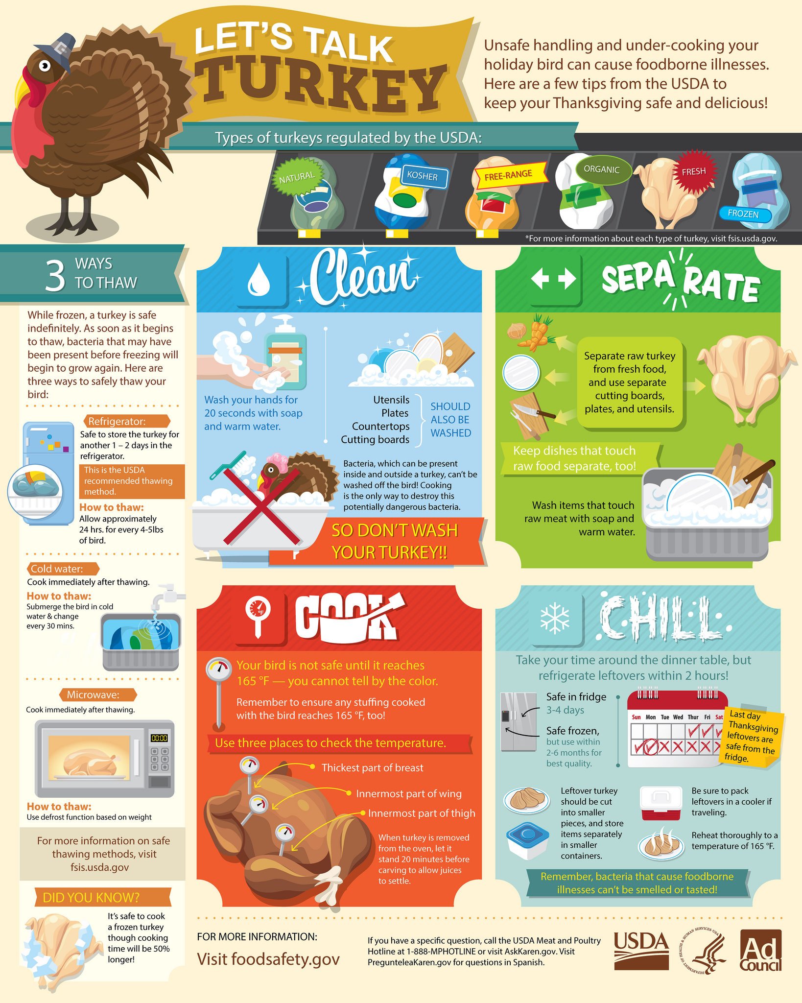 Let's Talk Turkey infographic