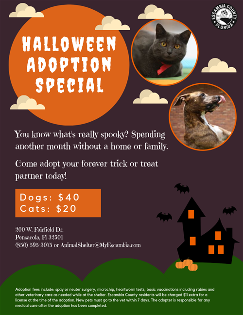 Halloween animal shelter flyer