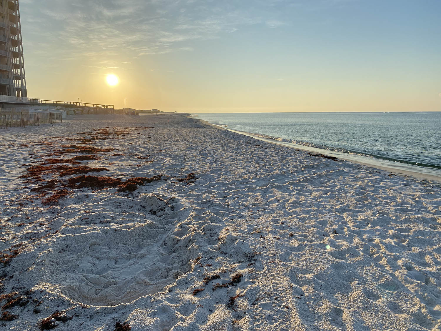 Hatchling tracks on Perdido Key