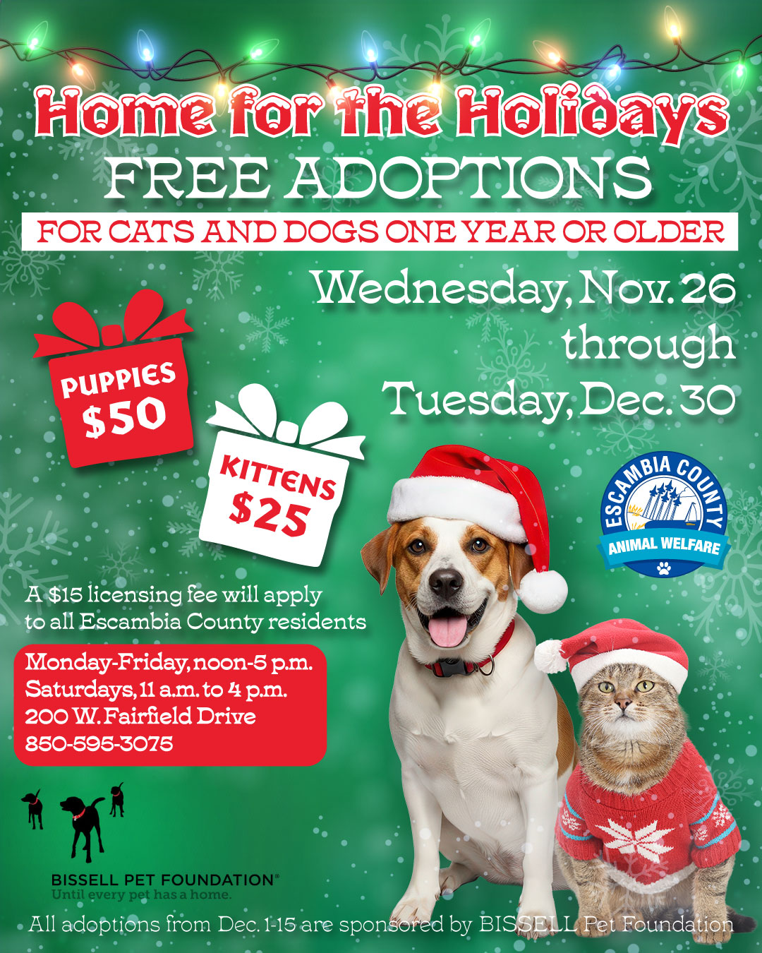 Home for the Holidays Pet Adoption Event