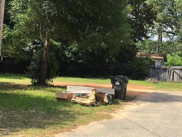 Ensley South Cleanup Before 2 Ensley South Cleanup Before 2