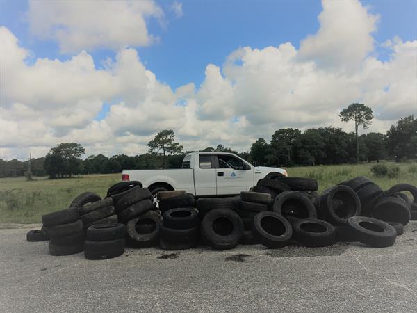Wedgewood tires at cleanup