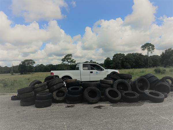 Wedgewood tires at cleanup Wedgewood tires at cleanup