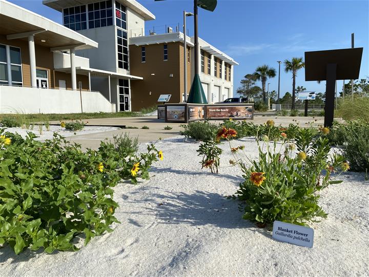 Perdido Key Garden