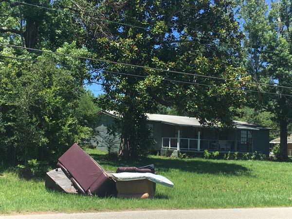 Cottage Hill Cleanup Before 2