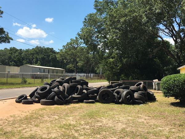 Lincoln Park Neighborhood Cleanup Tires