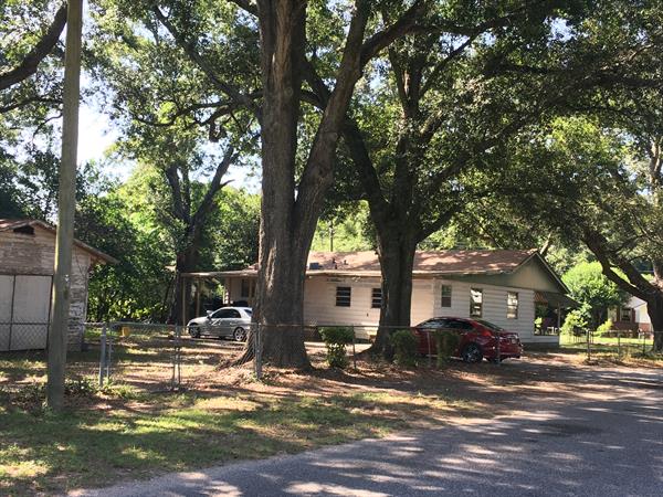 Brownsville Neighborhood cleanup after 2