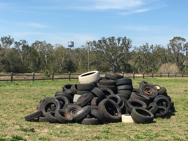Tires - Ebonwood Cleanup Tires - Ebonwood Cleanup