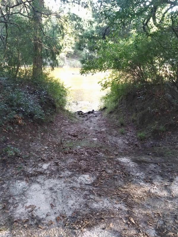 Otto Hill Launch Otto Hill Launch