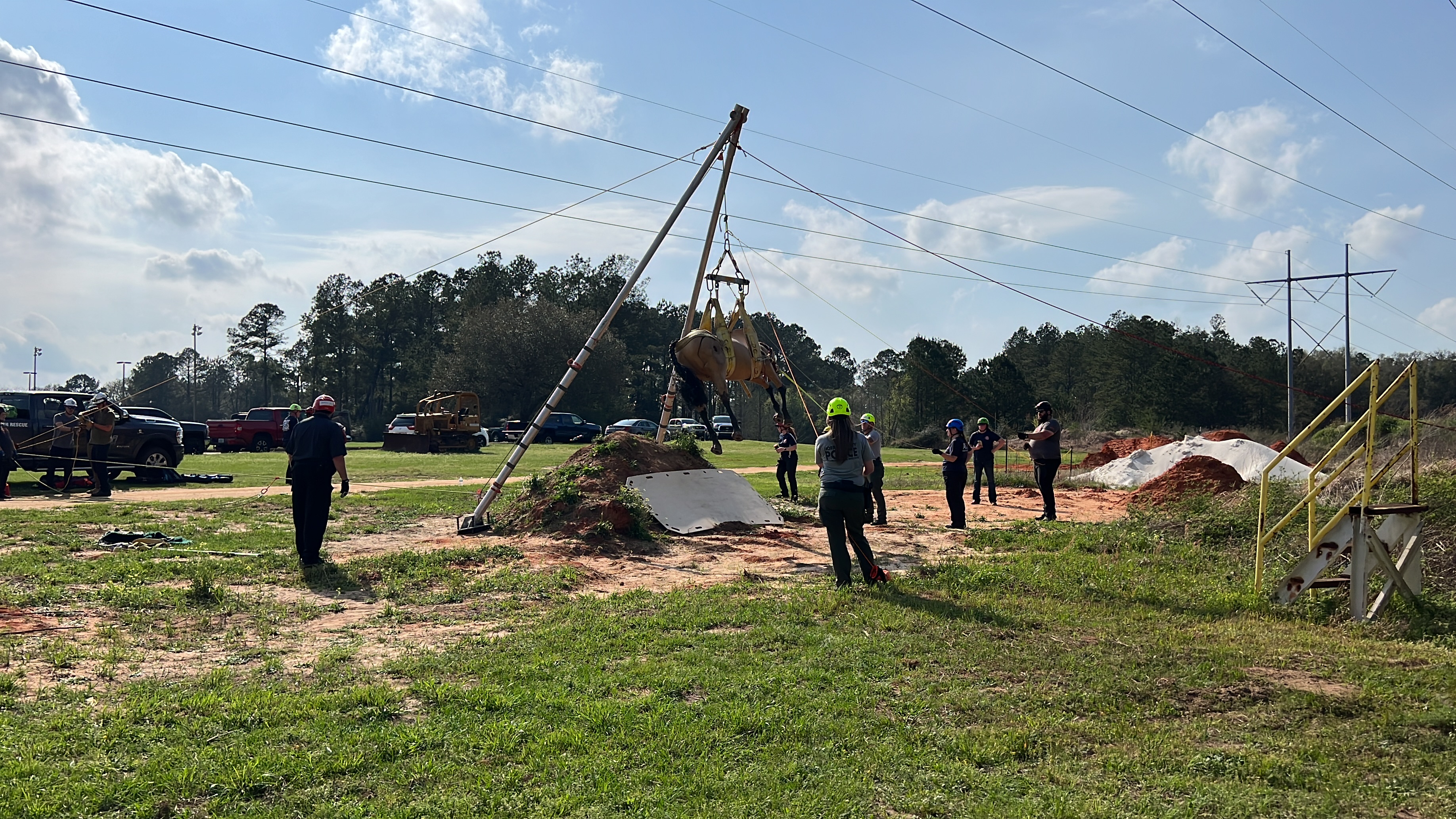 A group participating in large animal rescue training