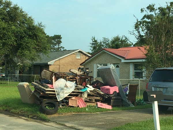 Lincoln Park neighborhood cleanup