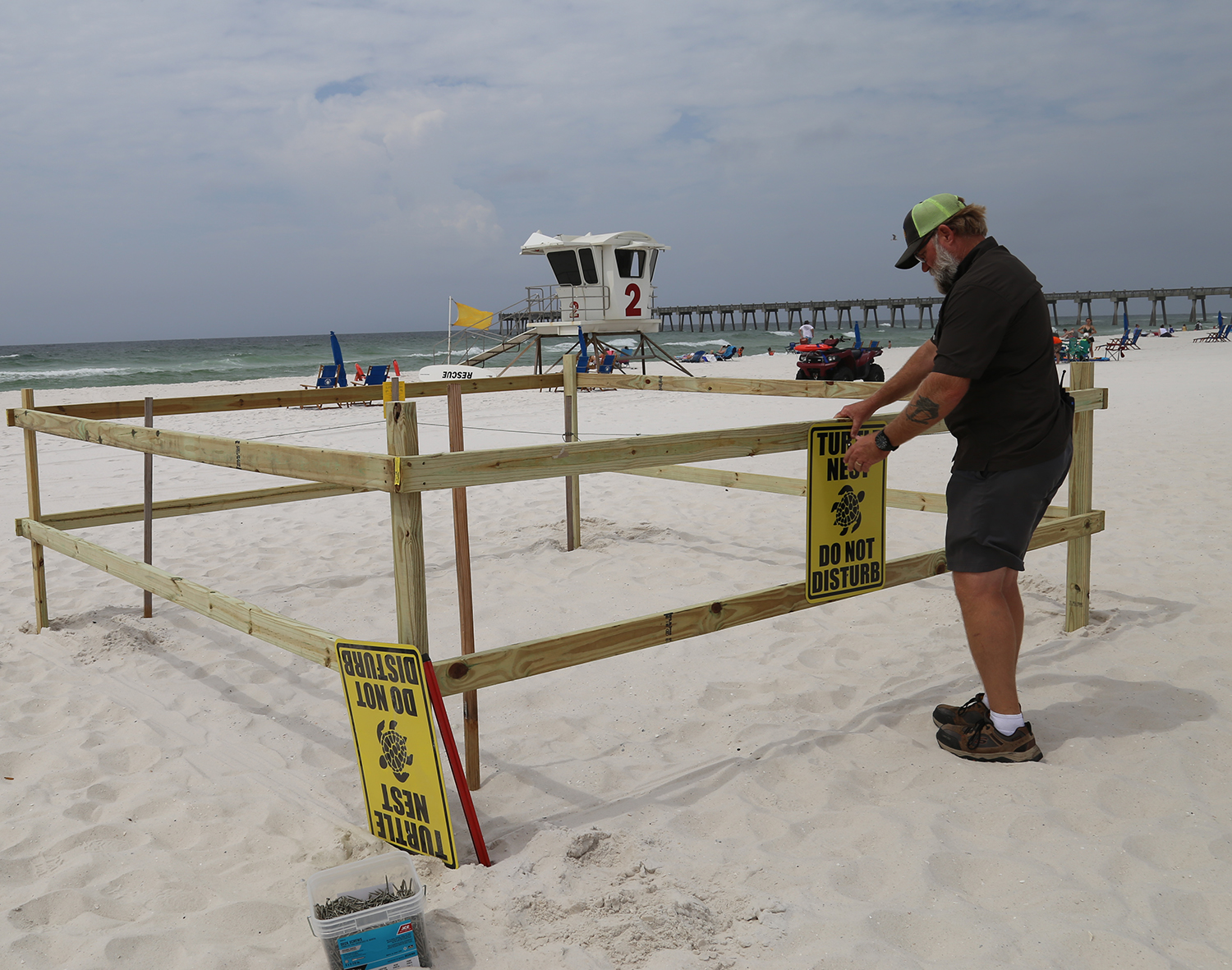 Public works employee staking off area around turtle nest