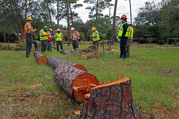 Urban Forestry Strike Team Parker Circle Park (City of Pensacola) Urban Forestry Strike Team Parker Circle Park (City of Pensacola)