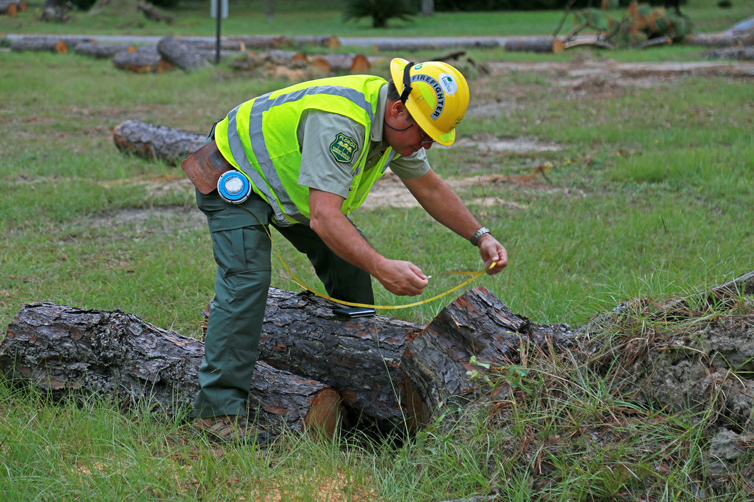 Urban Forestry Strike Team Parker Circle Park (City of Pensacola)
