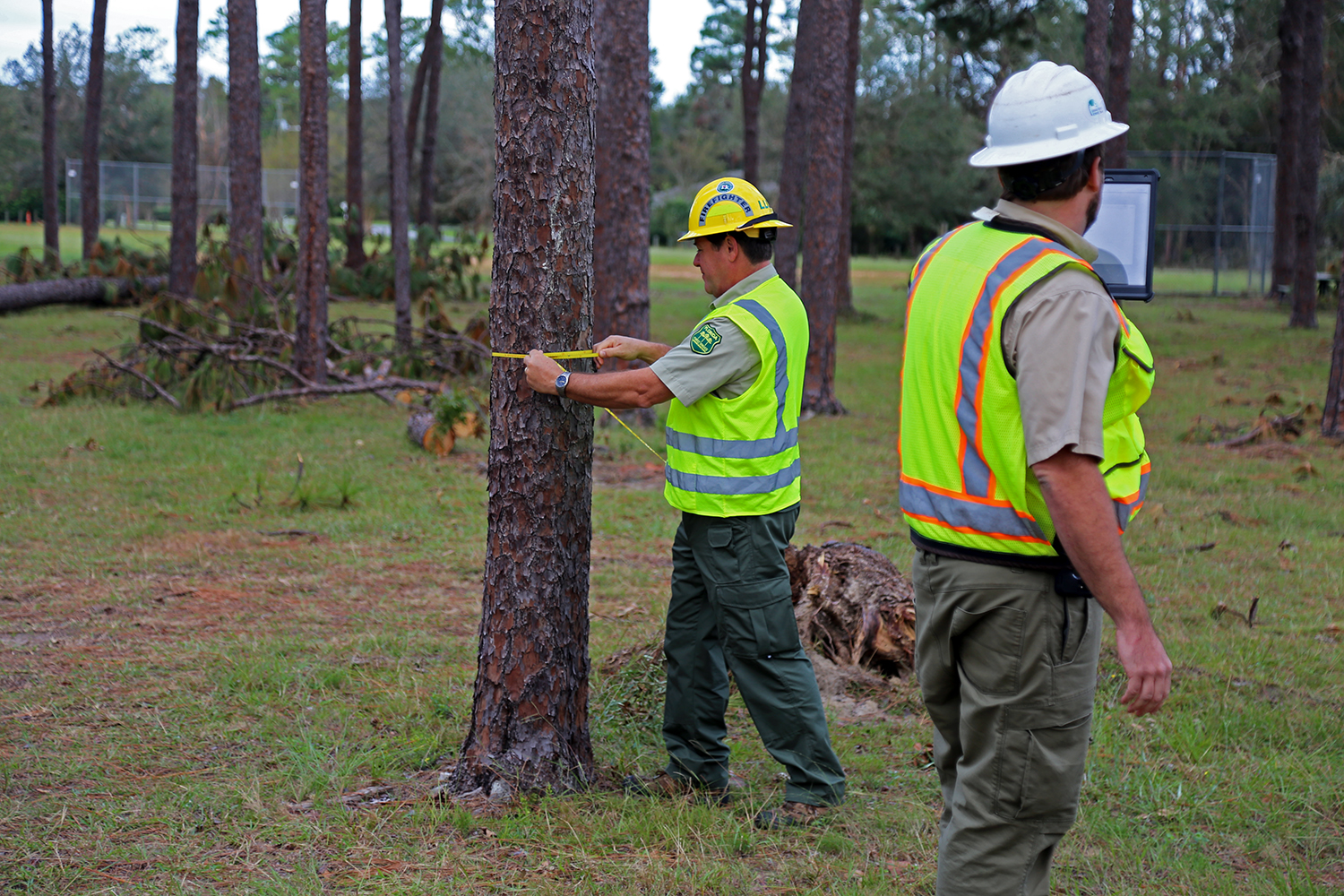 Urban Forestry Strike Team Parker Circle Park (City of Pensacola)