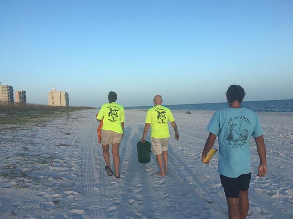 Sea Turtle Volunteers