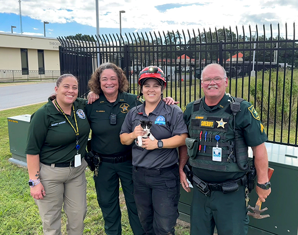 A group holding a kitten after a rescue