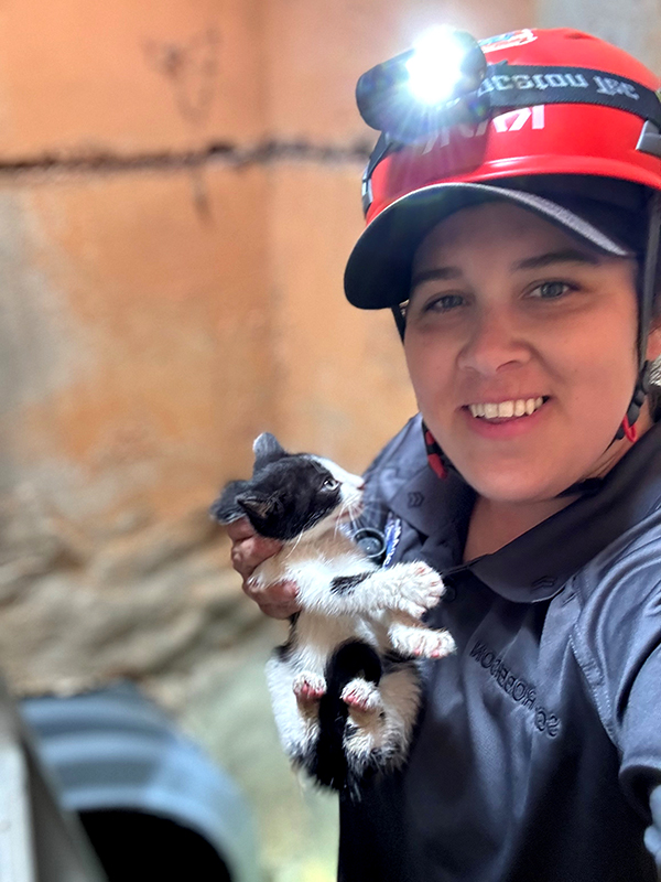 A kitten being rescued by Animal Control Officer Meredith Roberson