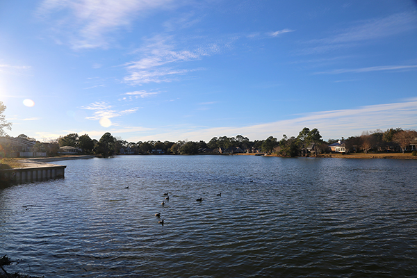 Lake Charlene