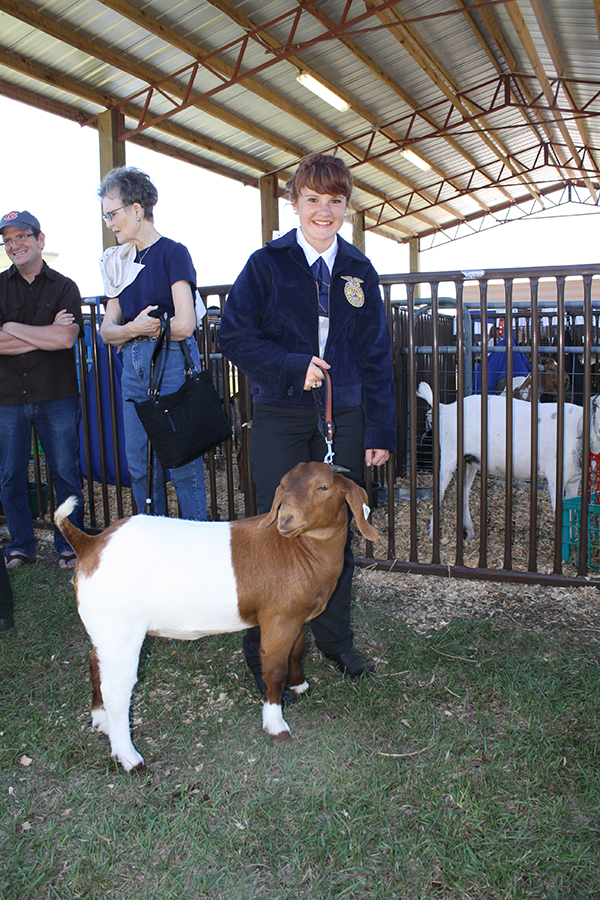 Livestock Show 11