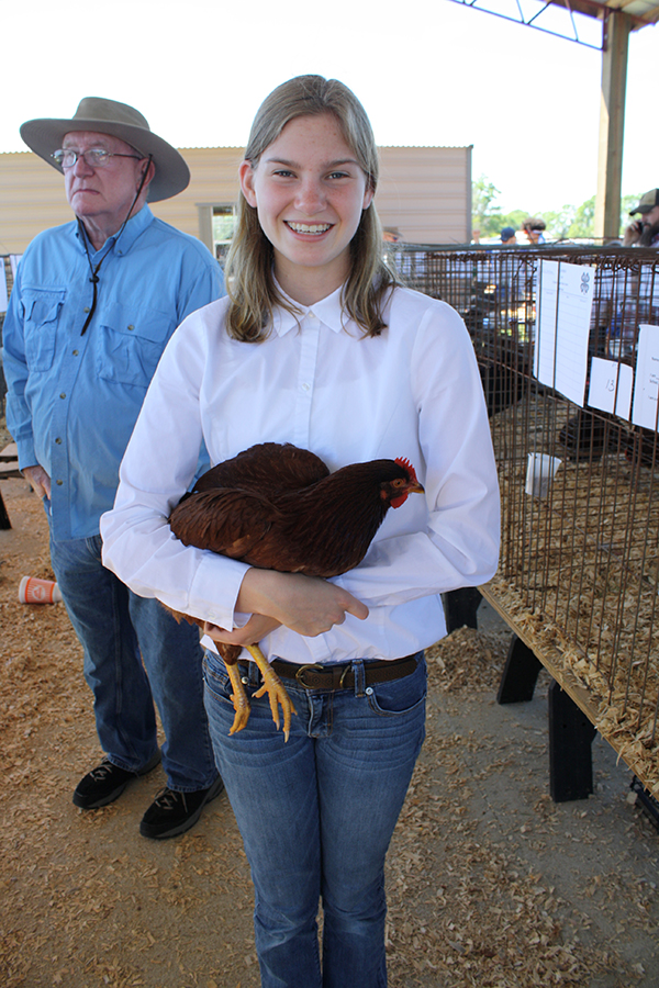 Livestock Show 5