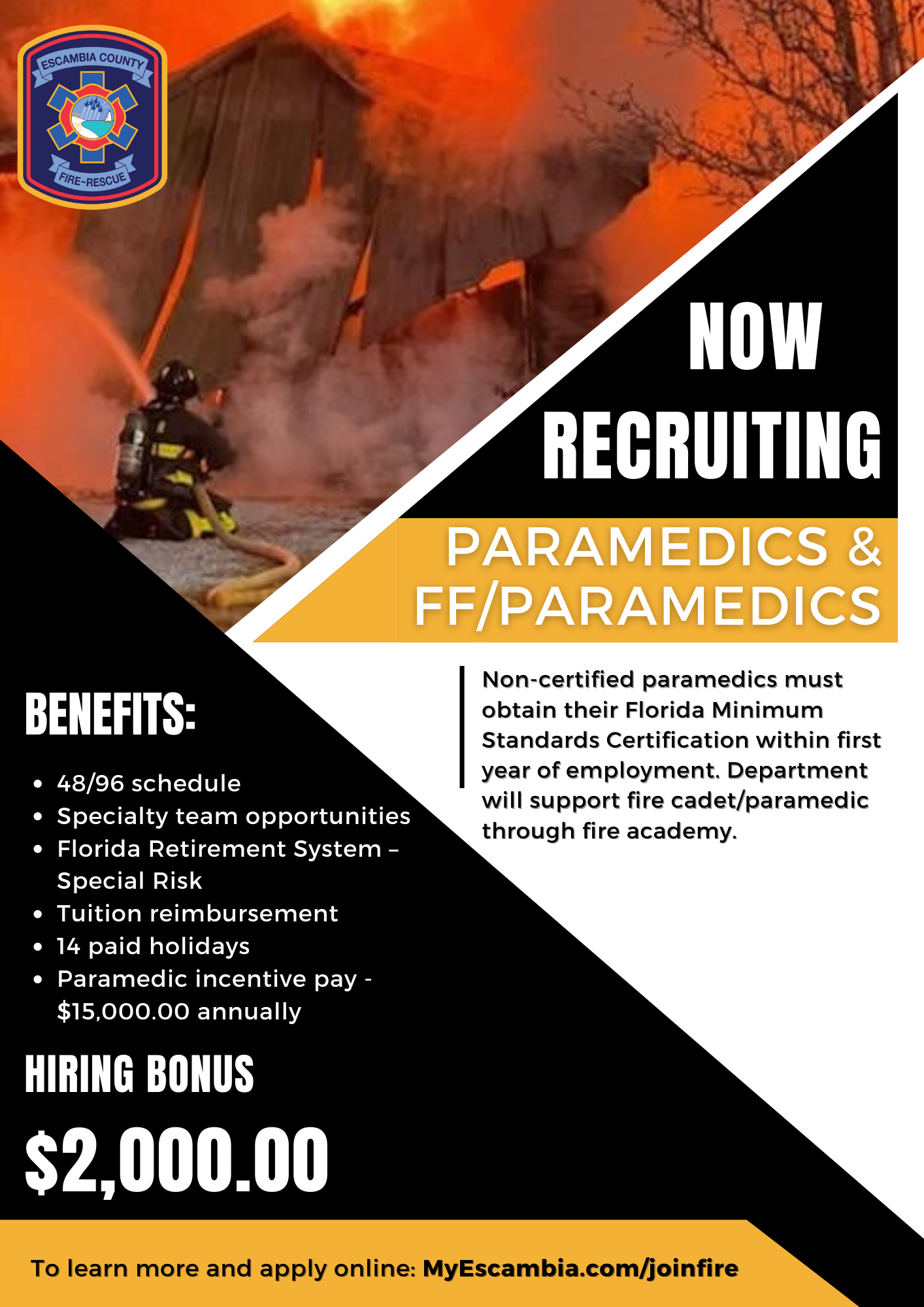 The new ECFR recruitment flyer