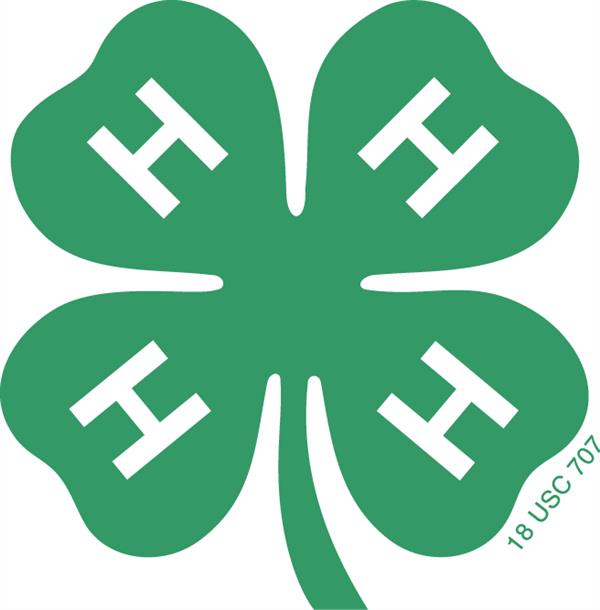National 4-H National 4-H logo