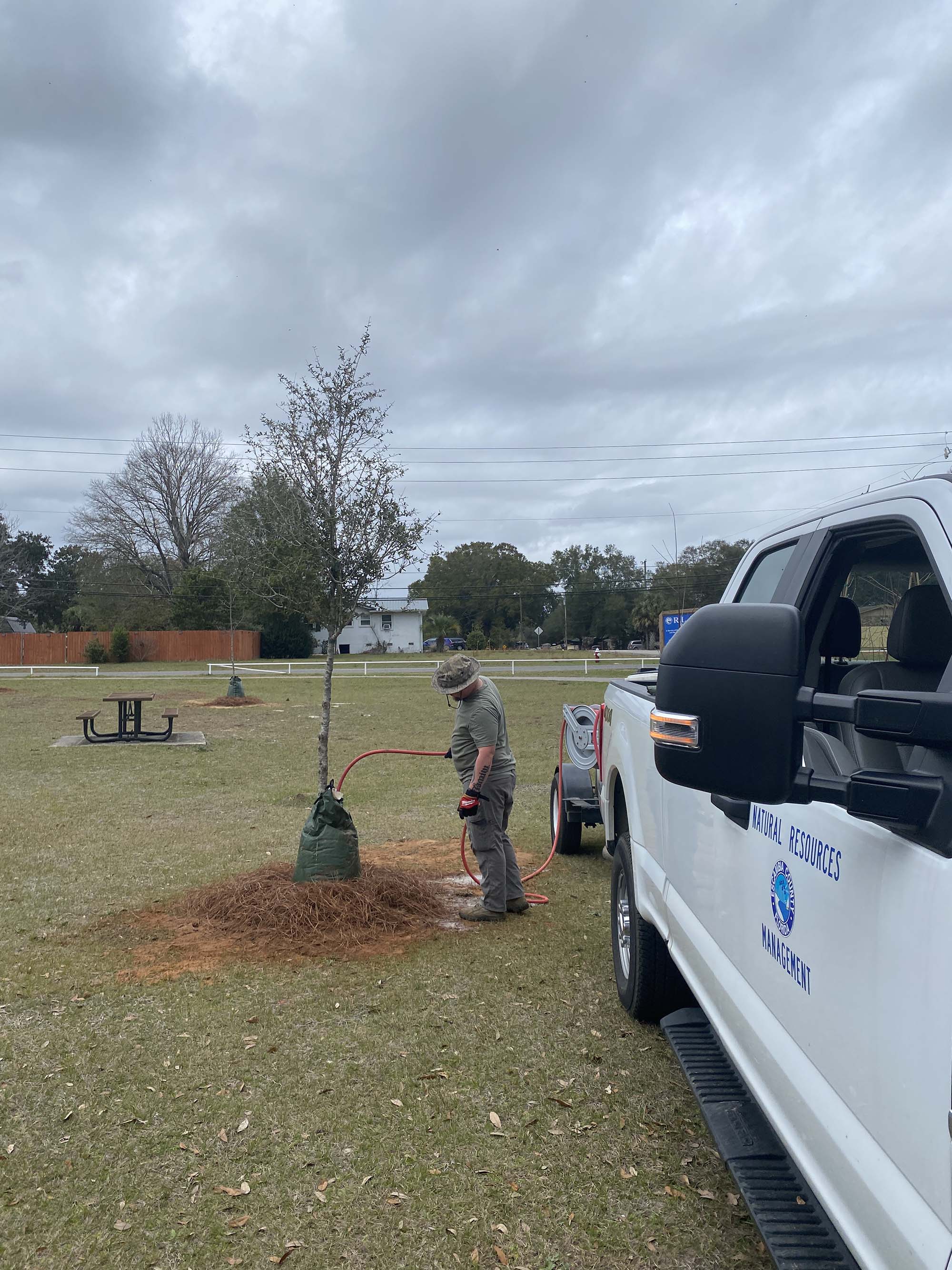 Natural Resources staff watering a recently planted tree