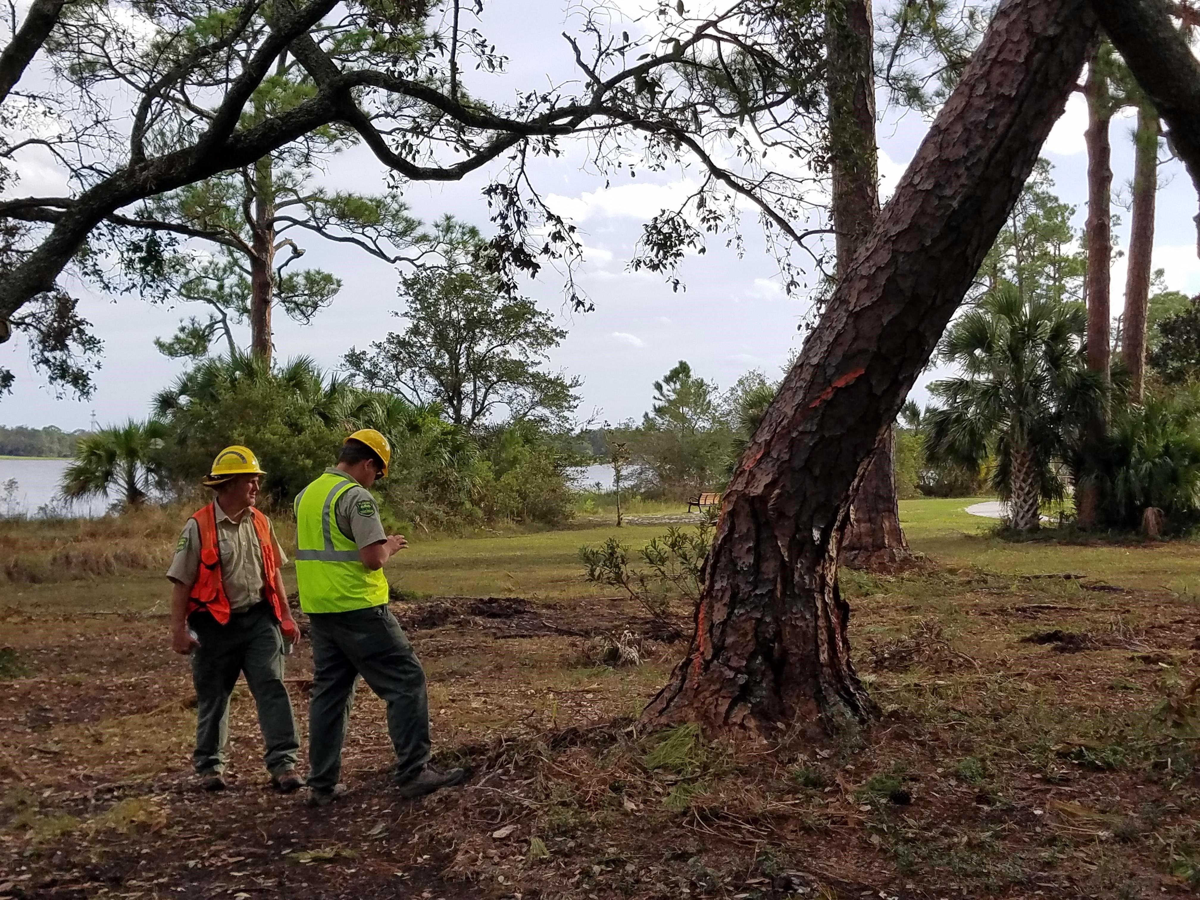 navy point urban strike team