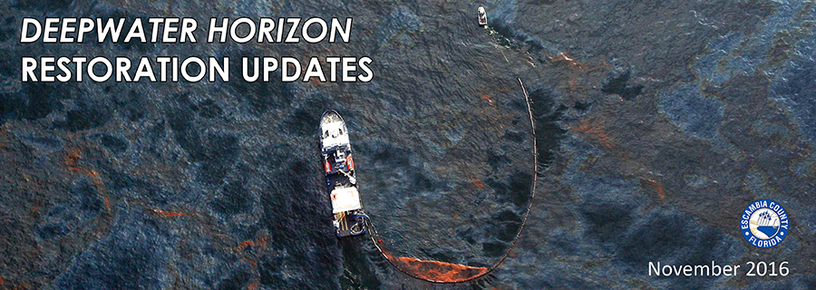 November 2016 RESTORE Update Header