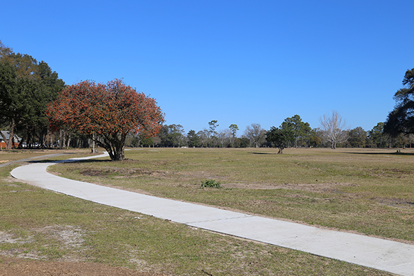 Walking path