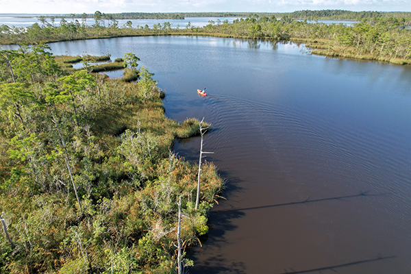 Perdido Bay