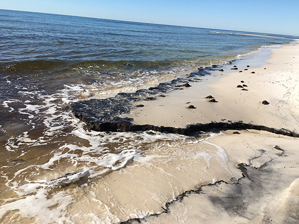 Perdido Key peat 3 Perdido Key peat 3