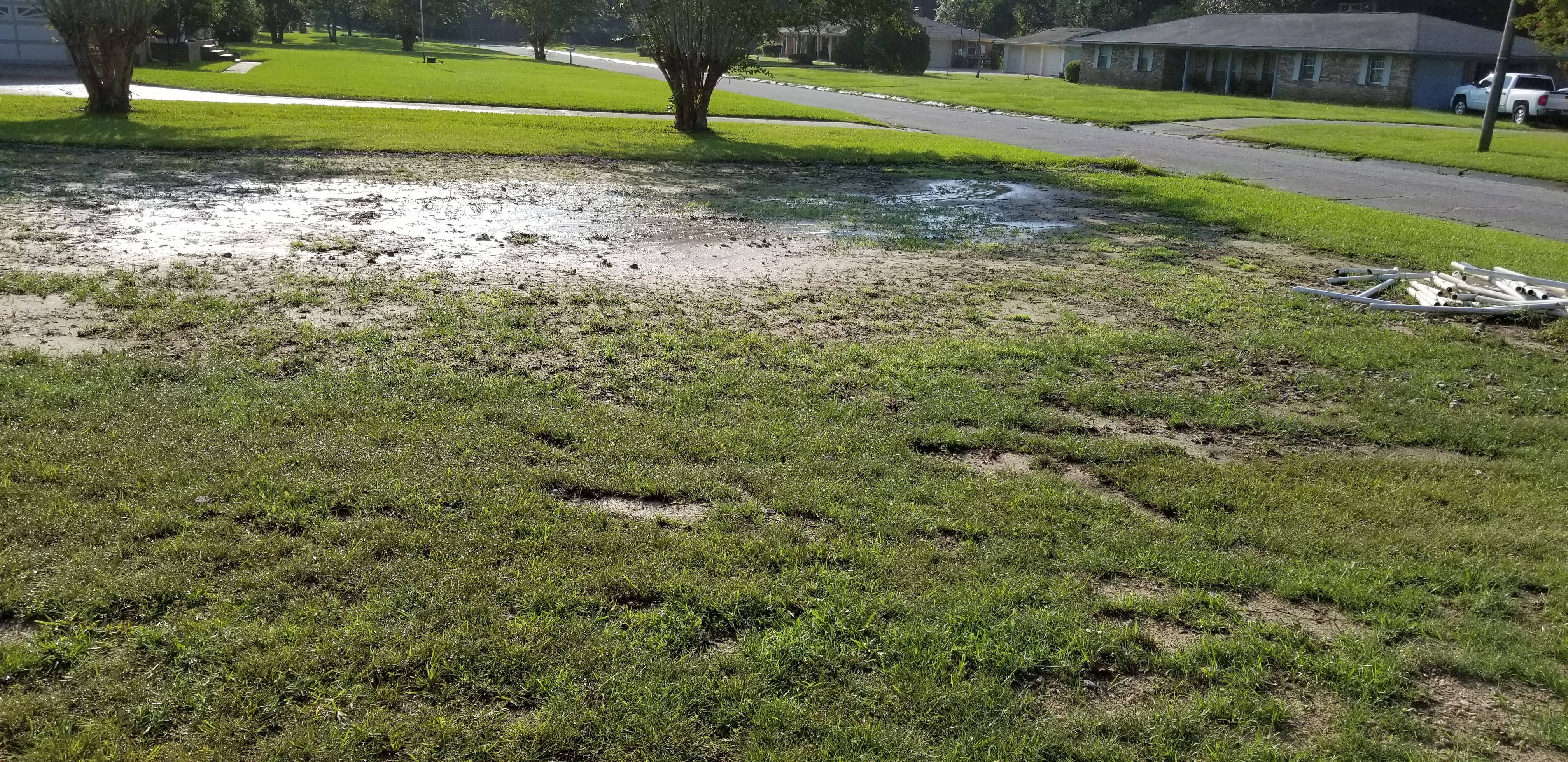 Photo of low lying area in Pine Valley Estates