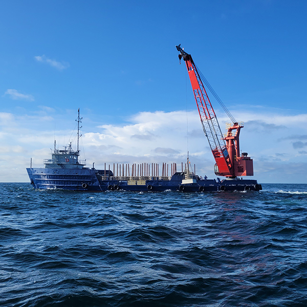 reef deployment 2 - web