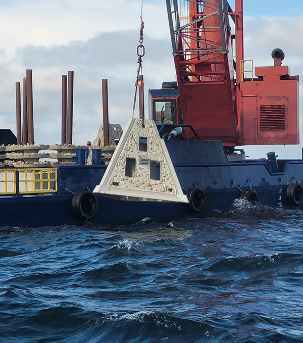 reef deployment - web
