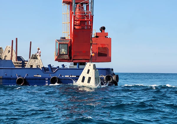 reef deployment