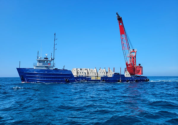 reef deployment
