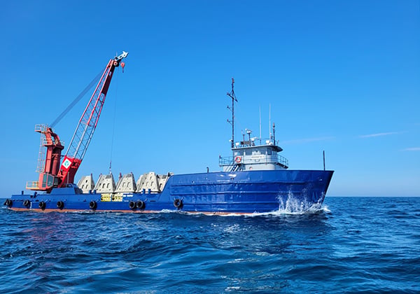 reef deployment
