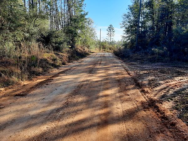 Rockey Branch Dirt Road