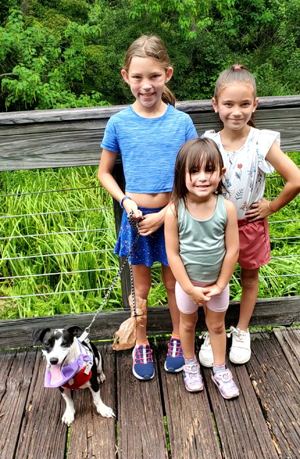 Rose dog adoption