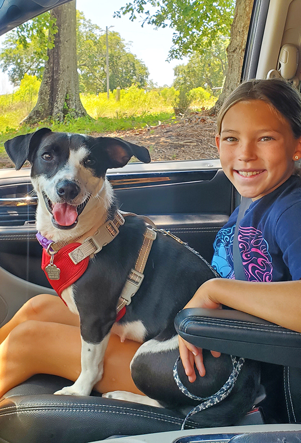 Rose dog adoption