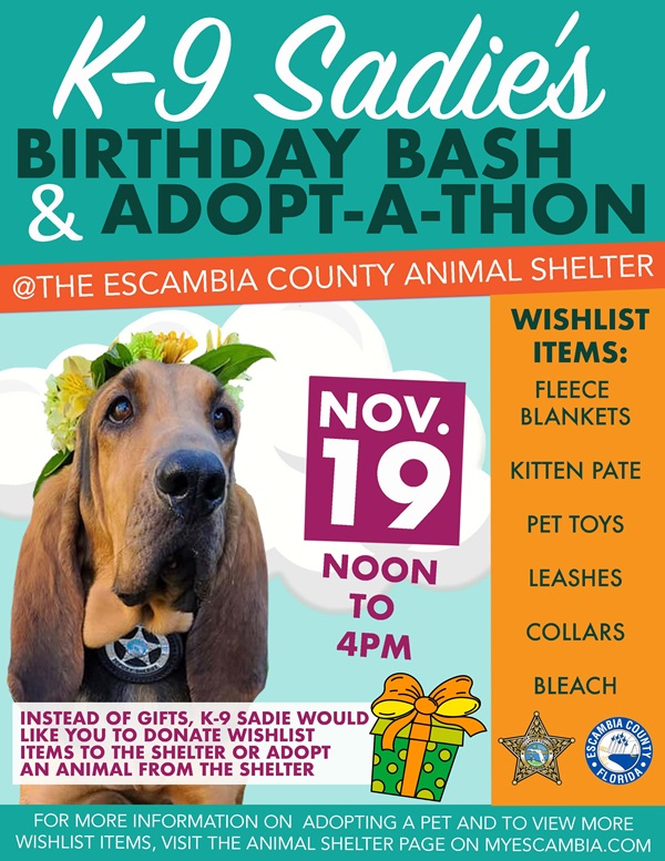 Sadie's Birthday Sadie's Birthday