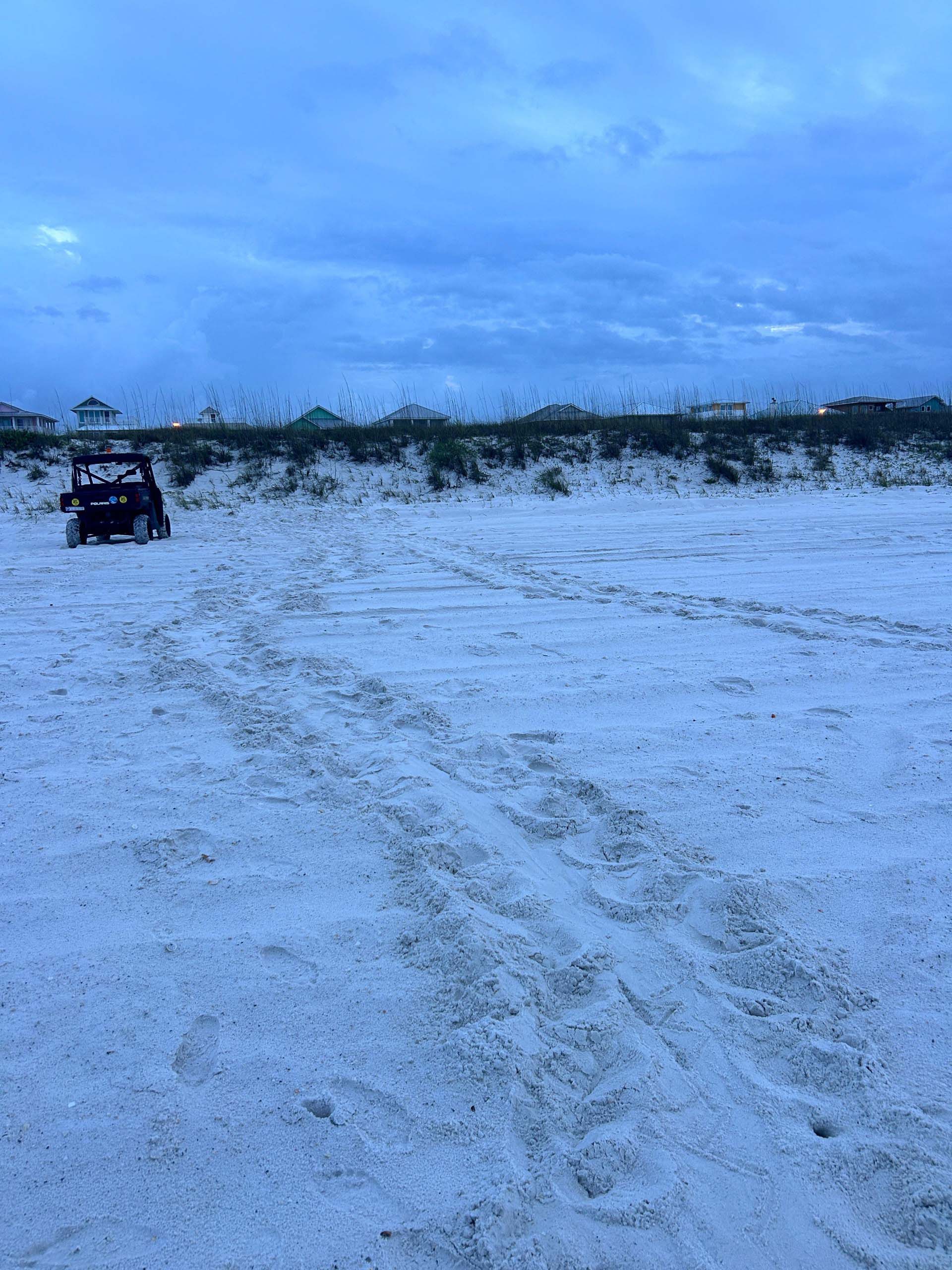 Sea turtle nest on Pensacola Beach Sea turtle nest on Pensacola Beach